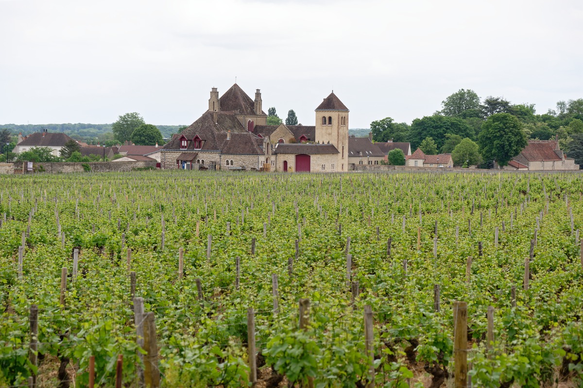 Chablis: Glass Half Full?